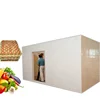 Popular PU cold room walk in chiller to store egg and vegetable