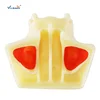 Maxillary Sinus Lifting Model Sinus Lifting Model Maxillary Sinus Lifting