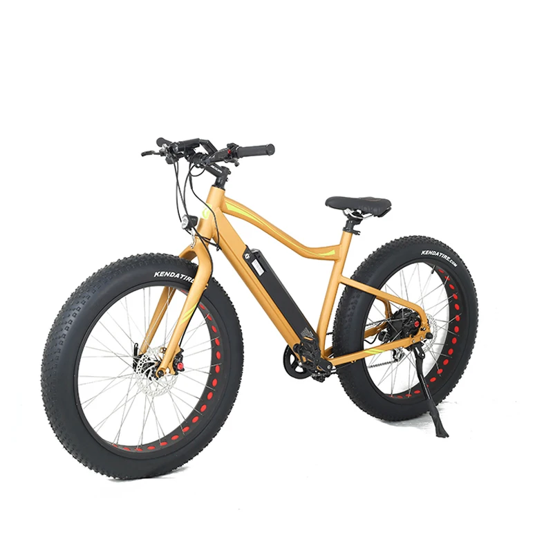 electric bike