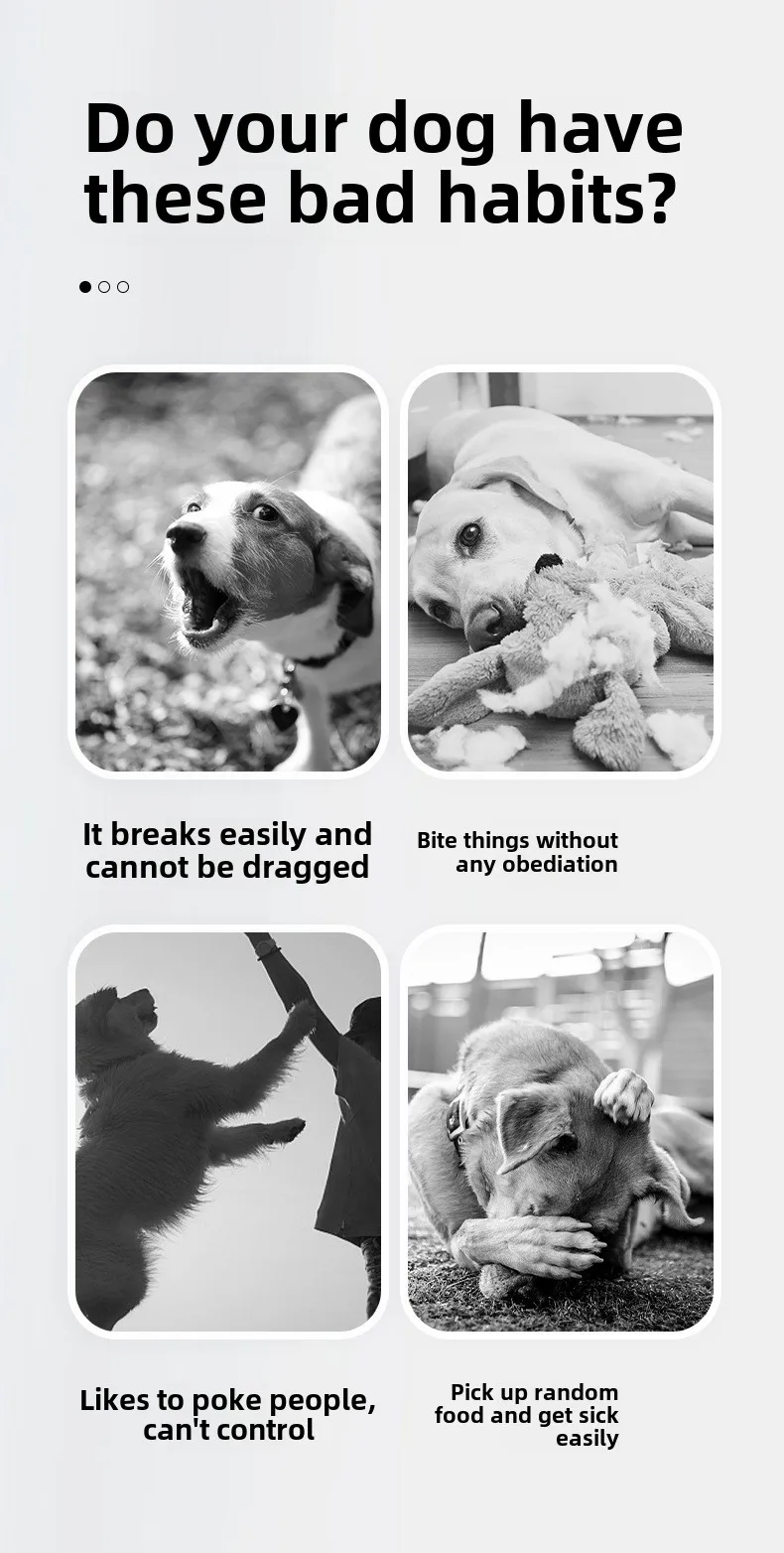 All-In-One Luxury Anti-Breakaway Padded Nylon Pet Traction Rope Solid Resistant Pull-Resistant Explosion-Proof Dog Leash