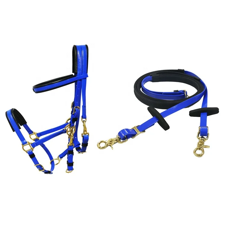 Endurance bridle rein 3.jpg