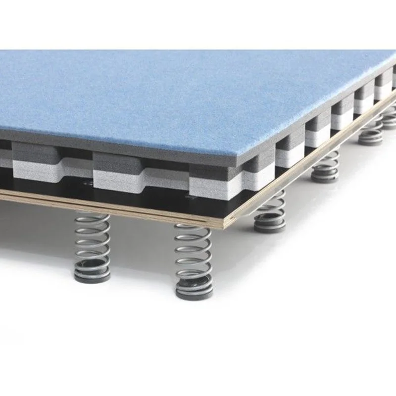 Zonwinxin High Quality Gymnastic Floor Exercises Field /free Exercise