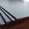 China construction Marine Plywood 18mm film face plywood