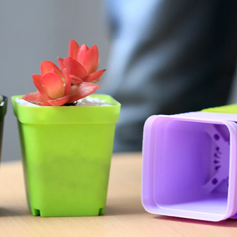 nursery Pot  (3).jpg