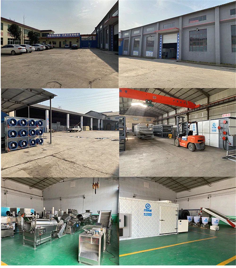 stainless steel meat washer mini carrot washing machine