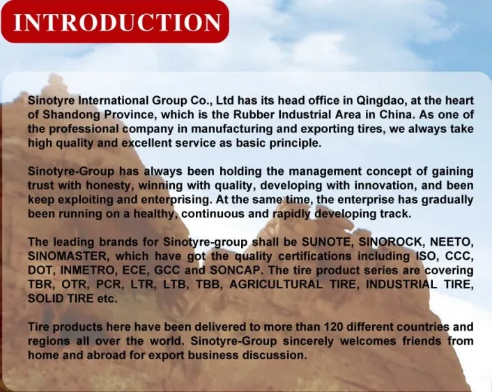company introduction.JPG