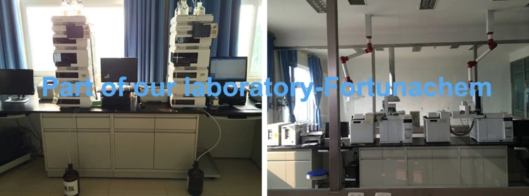 Part of laboratory.jpg