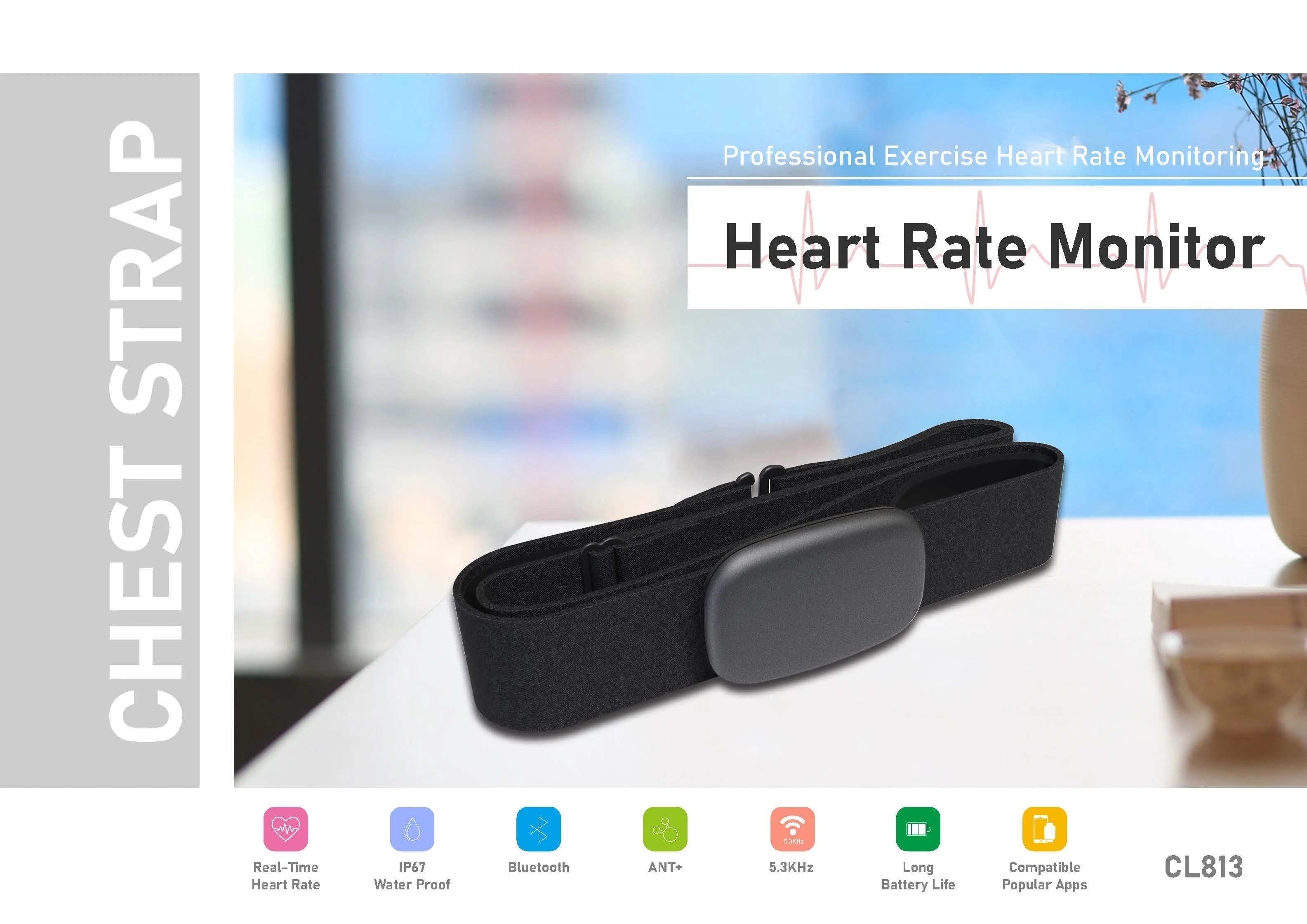 CL813 introduction__1(1).jpg