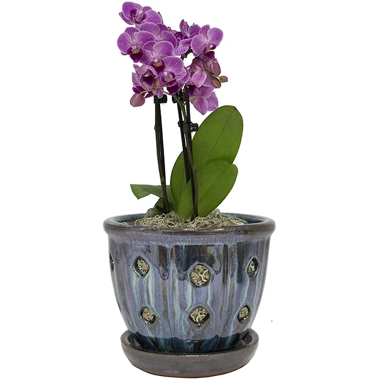 Mf376 -2.5inch Pot Stem Орхидея. Orchid Pot 12. Кашпо для орхидей. Орхидеи в горшках новосибирск