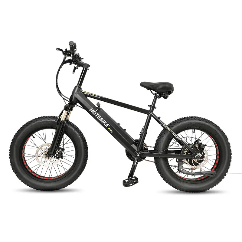 e bike 20 inch 48V 750W 13AH Other Electric Bike Electric Fat Tire Bike  ebike fat tire fat tire ebike high power