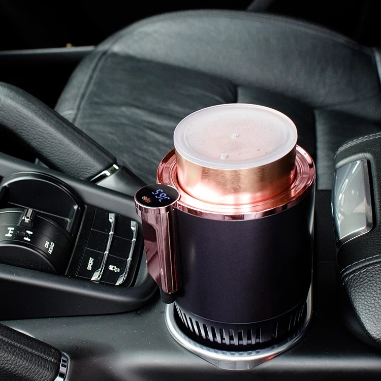 Car fridge  (11).jpg