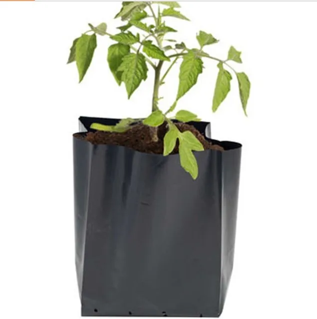 Premium Quality Black Plastic Poly Seedling Bag Plant Nursery Bag Buy