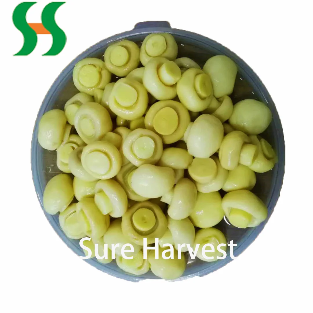 
Hot Sale Wholesale Mushroom Export Can Buyers 