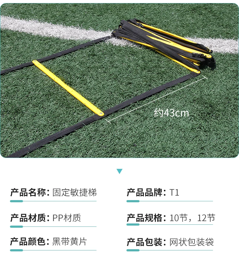 5meter 12 rungs Fixed and connectable agility ladder