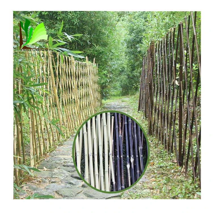 bamboo fence-b-06
