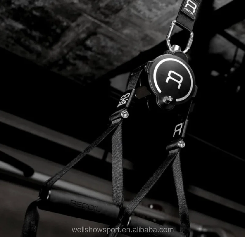 Wellshow Sport Pulley Suspension Sling Trainer Straps Rotational