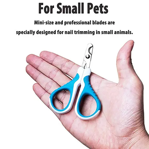 PET002 (2).jpg