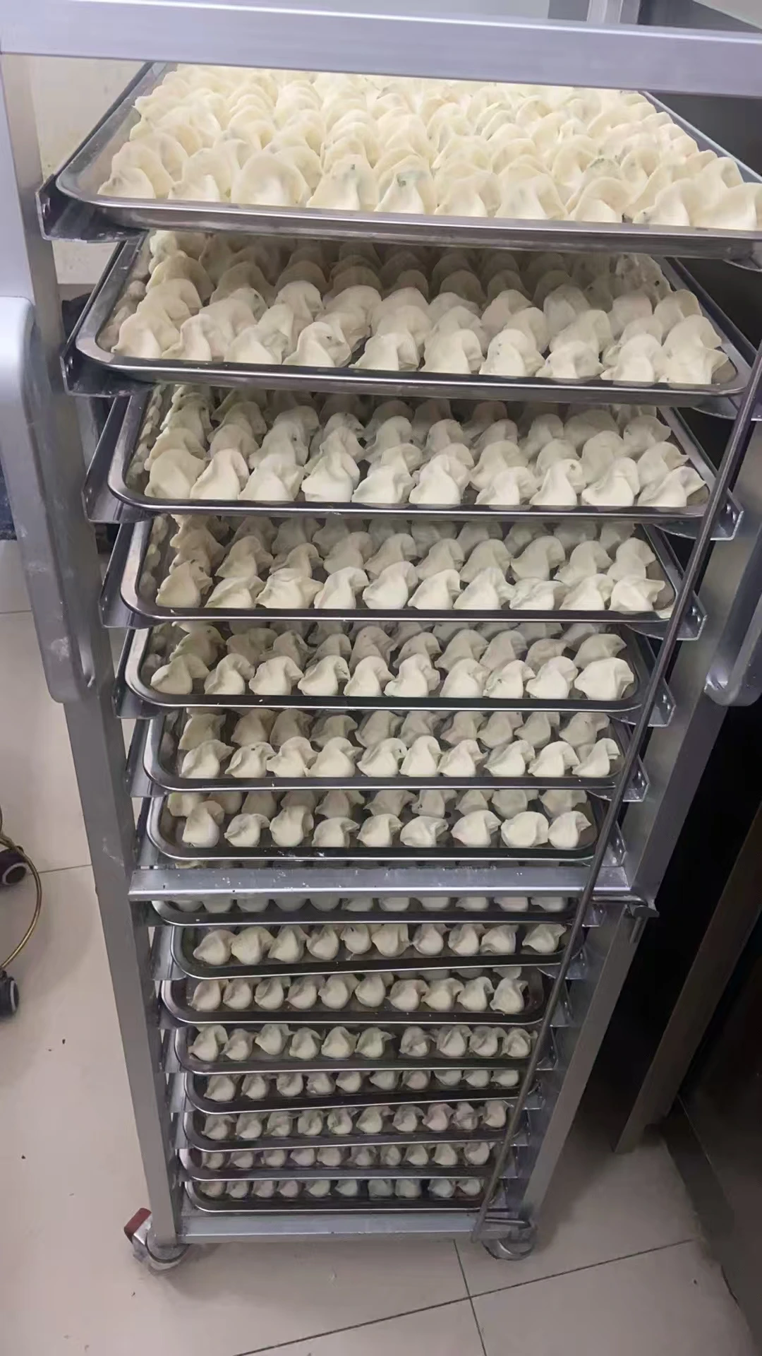 Blast Freezer, 220 V, 7000 - detail 40