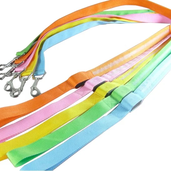 Dongguan Quick Release Pet Bungee Spring Color Cool Leashes  No Pull Led Dog Leash