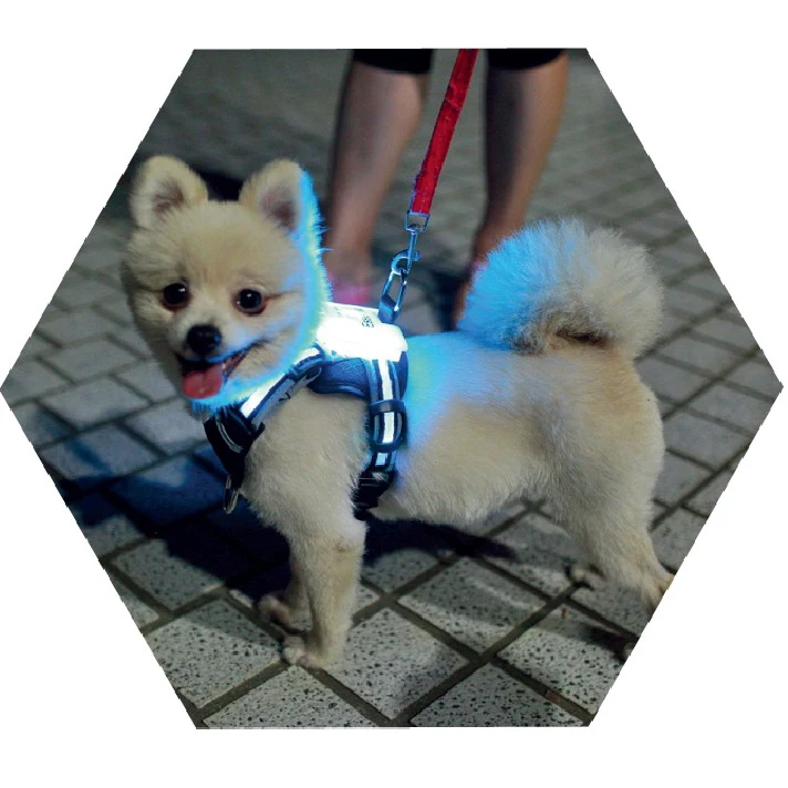 

led usb rechargeable dog harnesses,2 Pieces, Multicolor