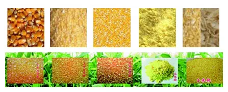 90TONS OF wheat flour mill machine complete plant