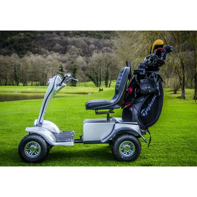 24v 1000w Ce Certified Single Seat Electric Golf Buggy With Golf Bag ...