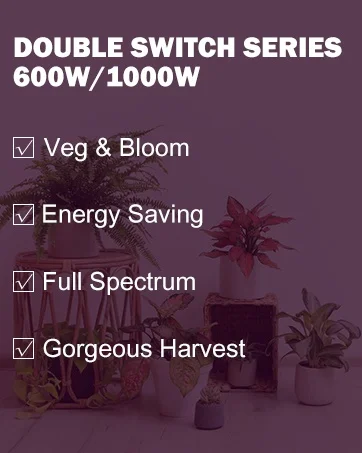 About this item
