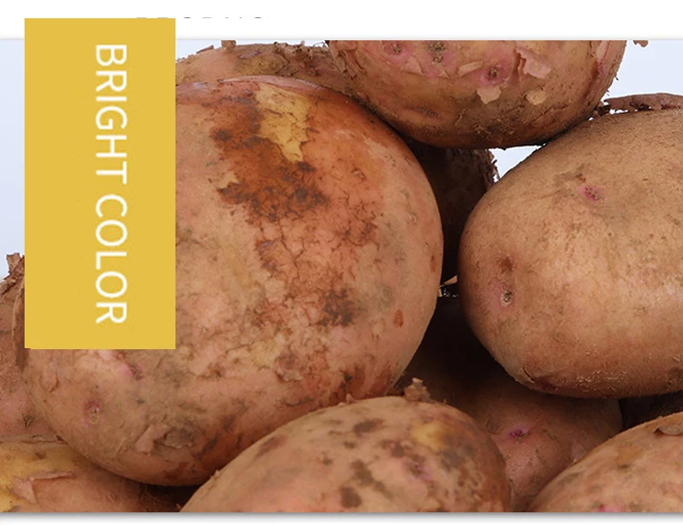 Nrov Zaub Fresh Potato Export Fresh Potato Nyob rau hauv pheej yig tus nqi