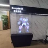 Enoptech 43/50/65/70/100cm hologram 3d led advertising display screen fan with WiFi control holographic fan 3d air display