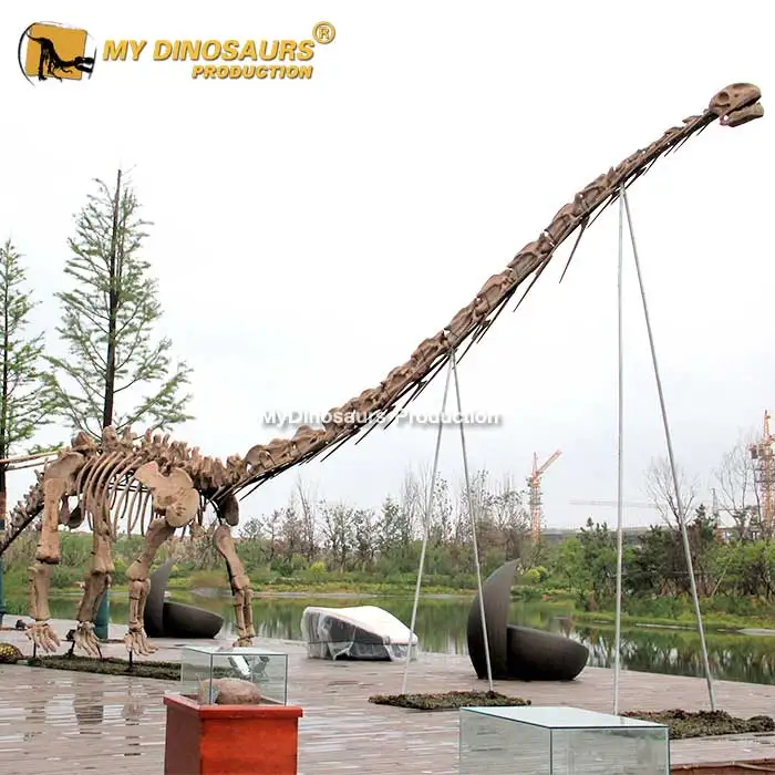 brachiosaurus skeleton