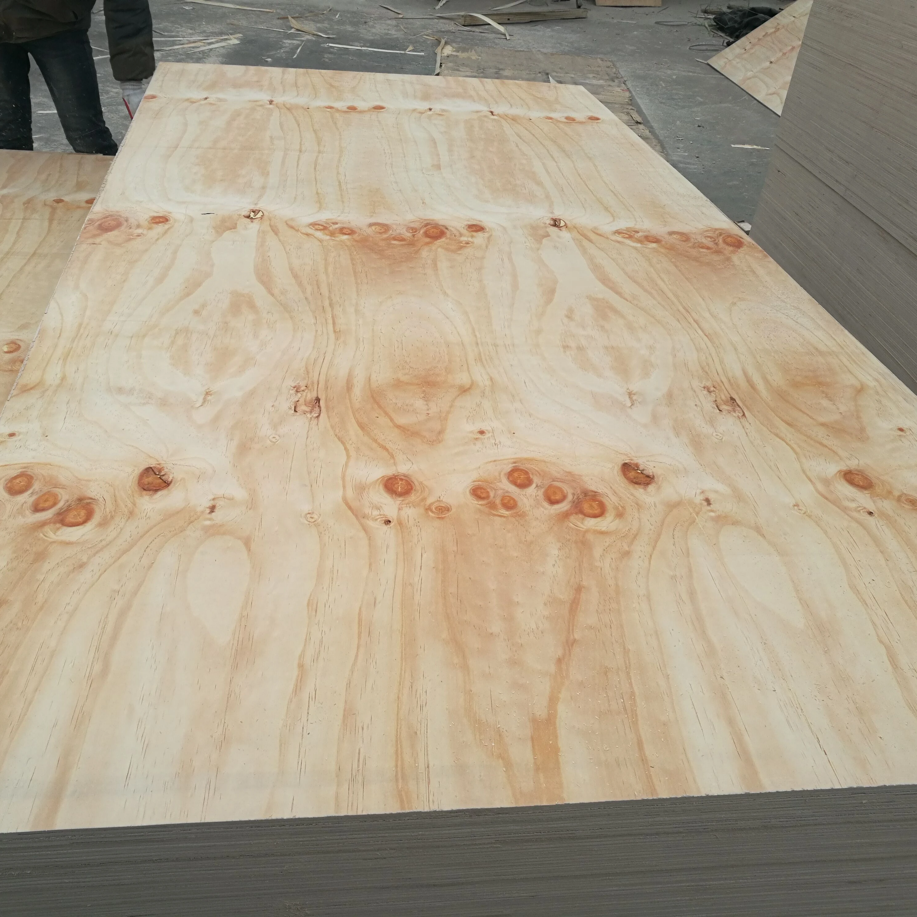 1 2 Cdx Plywood Menards 07 - wb9fxe7