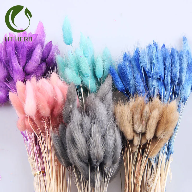 120 Erbe Di Pampa Naturali - Code Di Coniglio Secche - 43cm - Per Decorazione Casa E Matrimoni - Foto 4