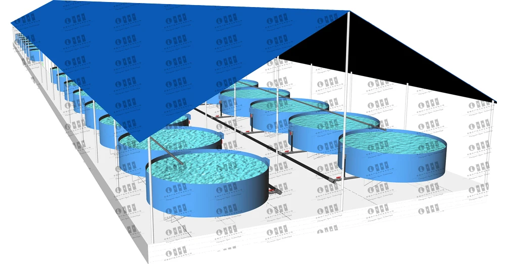 Cataqua Fish Farm Filter System Ras Modern Agricultural Fish Farming