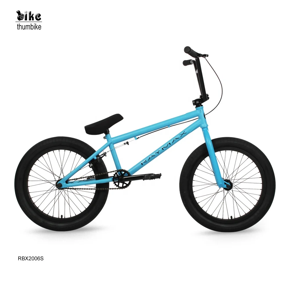 20 Inch Hi Ten Frame BMX Bike - Customized Dirt Jump Style