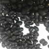 China black kidney bean black bean price