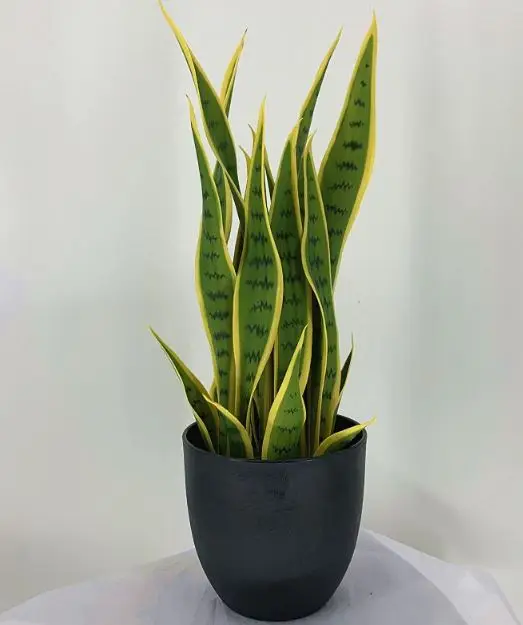 Hot Sell Uv Resistant Artificial Snake Plant Faked Sansevieria In Pot ...