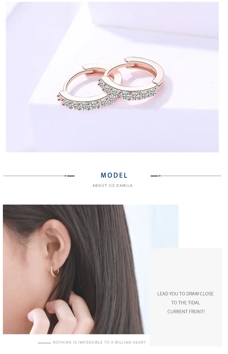 MiAnMiAn Womens Fashion Earrings S925 Pure Silver 3a Zircon with Tasseled Earrings MiAnMiAn Womens Fashion Earrings S925 Pure Silver 3a Zircon with Tasseled Earrings