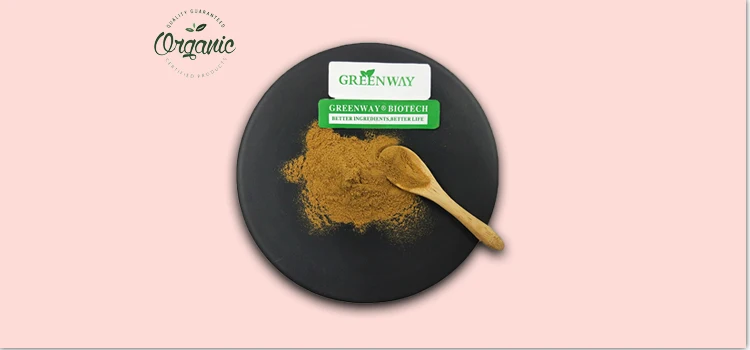 Greenway Supplied Bulk Ganoderma Lucidum 10-40% Polysaccharide Organic Reishi Mushroom Extract Powder