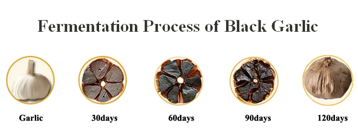 black garlic.jpg