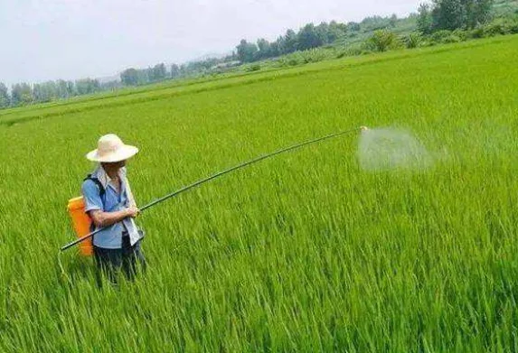 Toothpaste Adhesive Calcium Sodium PVM/MA Powder Cas 62386-95-2