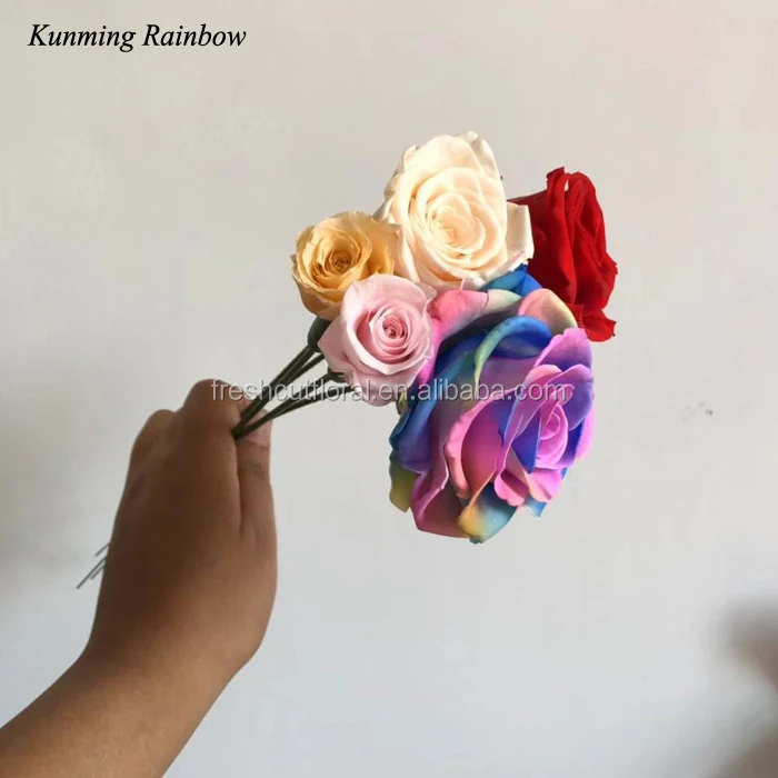Artificial Plastic Rose Stem For Preserved Flowers From Kunming Rainbow