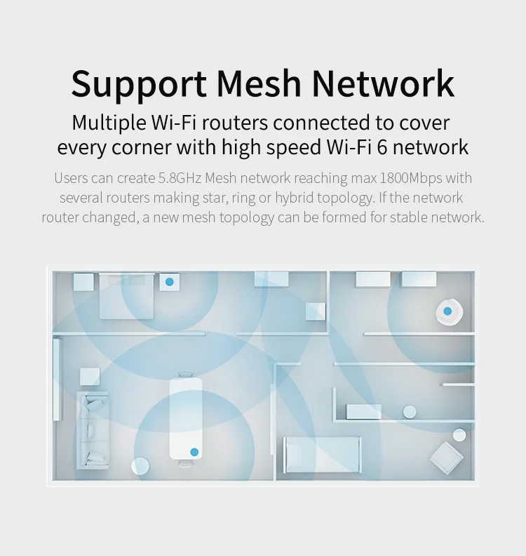 Mesh_03.jpg