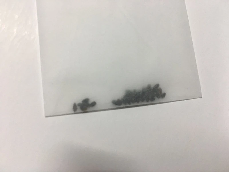 Open End Glassine Stamp 2x2 Envelopes 3 Wax Paper Bags Coins Seeds