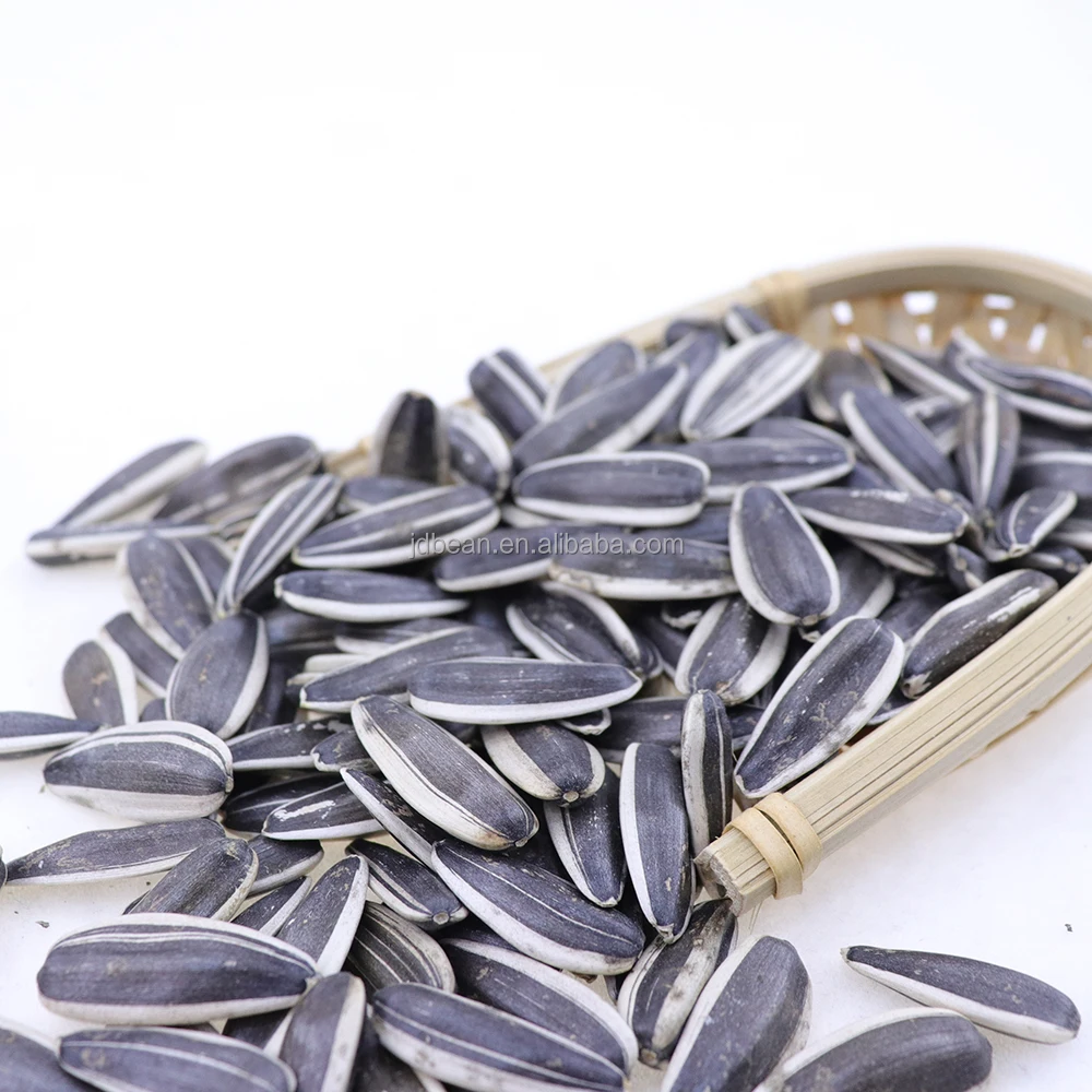 European Quality Sunflower Seeds 1 Ton Price Hybrid Sunflower Seeds For