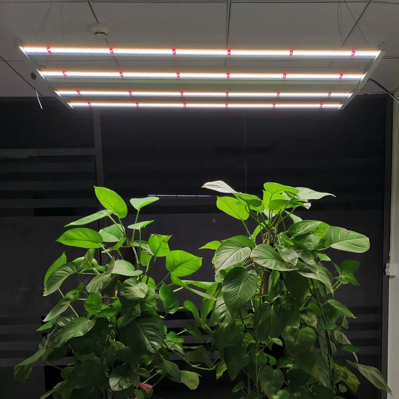 CE ROHS FCC approved 480watt 6 bars aluminum led bar plant grow lamp agriculture grow light for micro greens