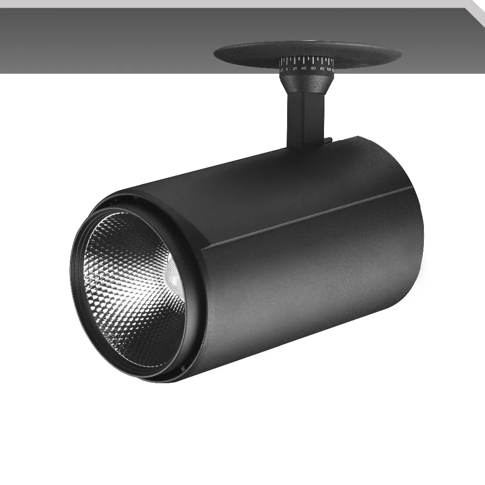 Finish Black Aluminum 9 Inch Ceiling Lighting LED Spot Light