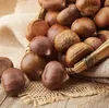 2019 YISHI sweet and easy peeled Chinese fresh raw candy same as Turkish Sativa Albania chestnuts