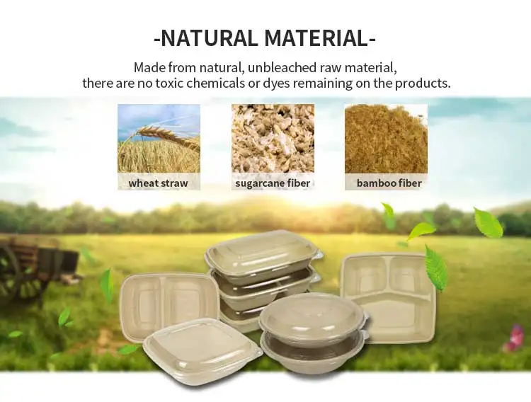 Biodegradable Unbleached Sugarcane Bagasse Bamboo Pulp Bowl - Buy ...