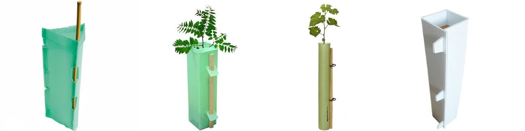 Corflute Tree Guard Corflute Tree Guard