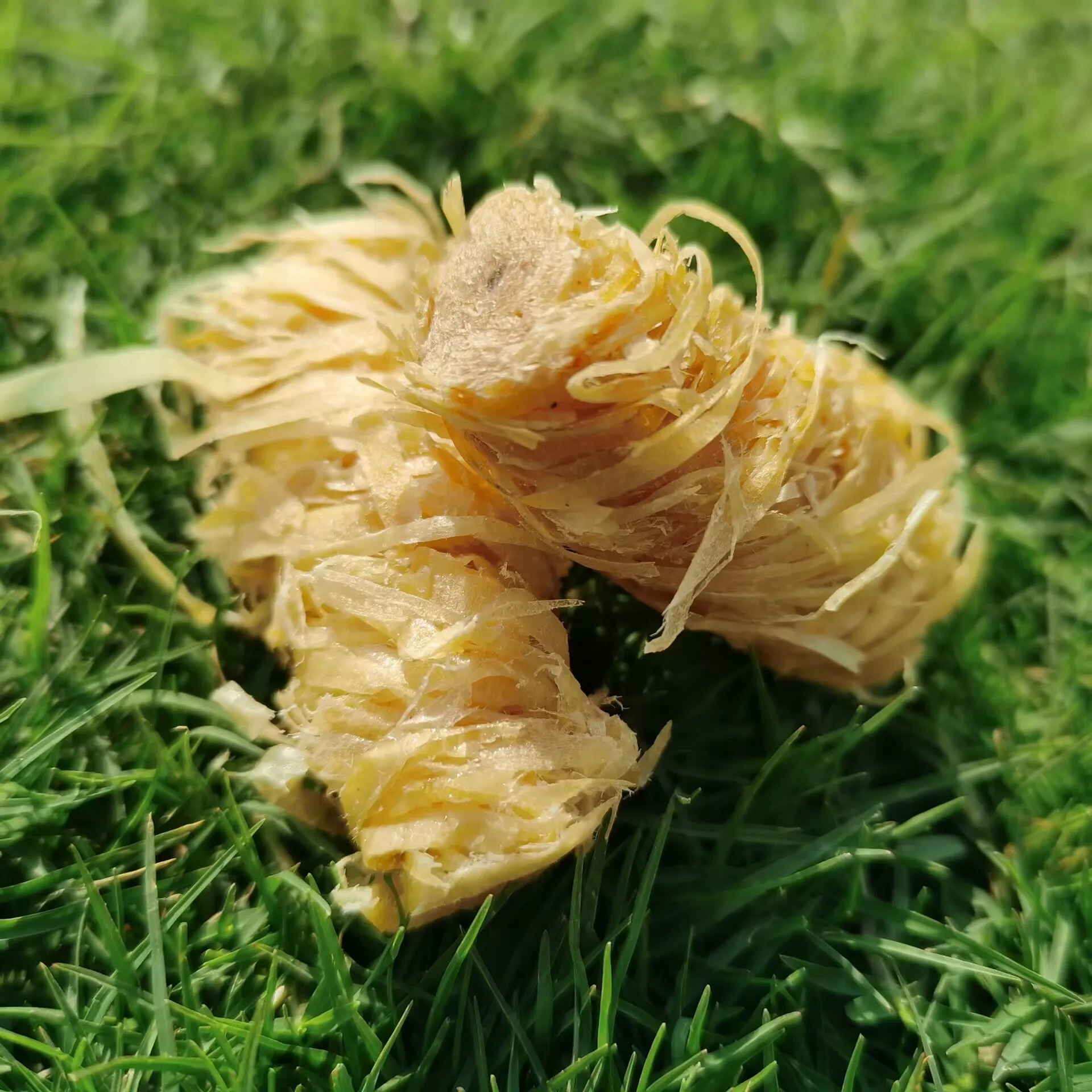 200piece Pack Wood Wool Charcoal Fire Starters Waterproof Outdoor Fire